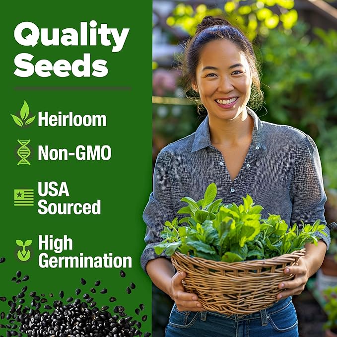 HOME GROWN Common Mint Seeds (Bulk Pack) 1,800 Non GMO Heirloom Herb Seeds, USA Sourced | Ideal for Planting Outdoors or Indoors for a Fresh Mint Tea Garden (Mentha spp)