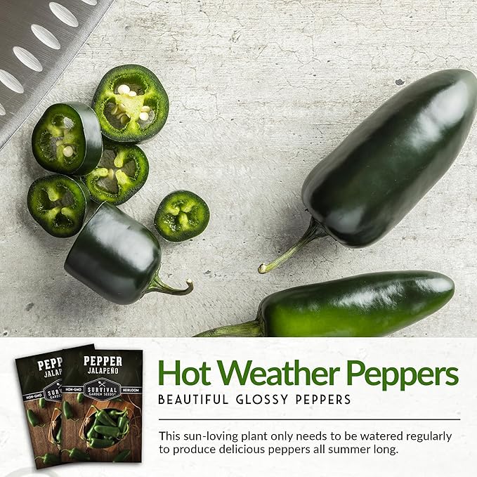 Jalapeño Pepper Seeds for Planting | Hot Heirloom Non-GMO Peppers for Pickling & Salsas – Survival Garden Seeds (3 Packs)