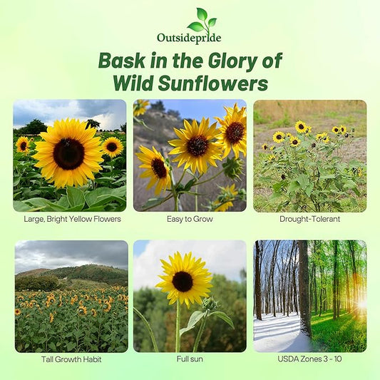 Outsidepride Wild Sunflower Seeds for Planting - 1000 Pcs Annual, Easy to Grow Flower Seeds w/Vibrant, Abundant Blooms for Cut Flower Arrangements & Pollinator & Vegetable Gardens