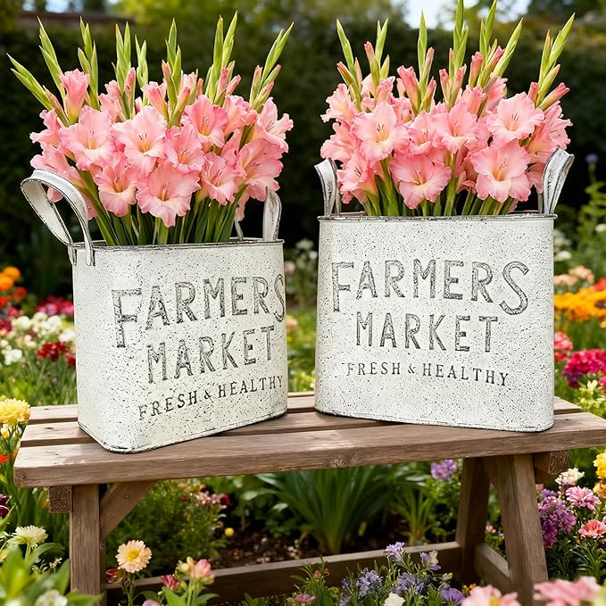 Vintage Metal Flower Planter Buckets with Handle Set of 2 Rustic Metal Flower Pots Farmhouse Plant Containers for Herb Succulent, Indoor Outdoor Garden Home Yard Bathroom Kitchen Decor (White)