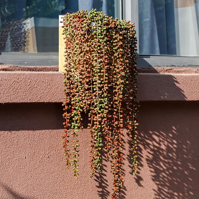 3PCS Orange Artificial Succulents Hanging Plants,27.5 Inch Fake String of Pearls Greenery Plants 5 Branches for Autumn Home Garden Office Balcony Wall Indoor Outdoor Fall Decoration,Orange