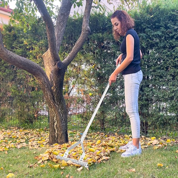 70" Thatch Rake, Lawn Thatching Rake with 20" Wide Adjustable Head, Double Sided Design, 19 Curved Tines & Non-slip Handle, Garden Landscaping Tool Lawn Dethatcher for Yard, Garden & Beach