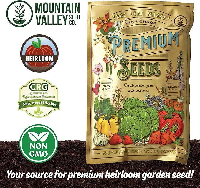 Moringa Seeds for Planting - 10 g Packet ~30 Seeds - Grow Moringa Seeds to Eat - Moringa Plant Tree Seedlings - The Tree of Life, Moringa Oleifera
