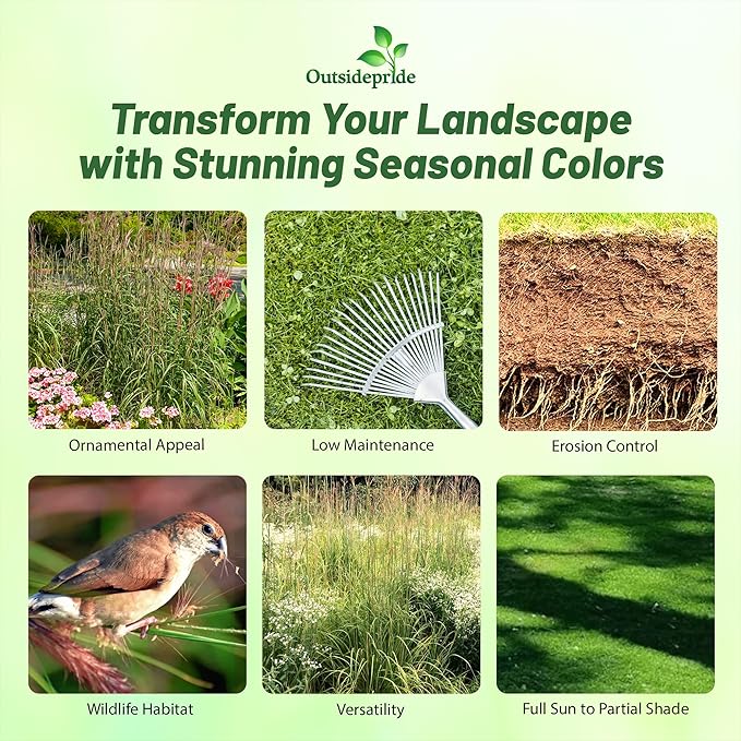 Outsidepride Perennial Andropogon Big Bluestem Grass Seed - 5 lbs. Warm Season, Drought Resistant, Native Prairie Grass Seed, Ideal for Erosion Control, Ornamental Landscaping & Wildlife Gardens