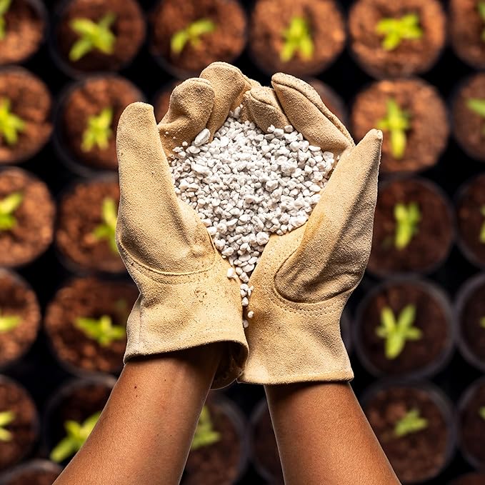 Perlite Bliss (1 Cubic Ft) - Organic Perlite for Plants - Coarse Perlite Bulk Soil Amendment - Chunky Perlite for Plants, Potting Soil, Garden Soil, & Coco Coir - Horticultural Perlite for Gardening