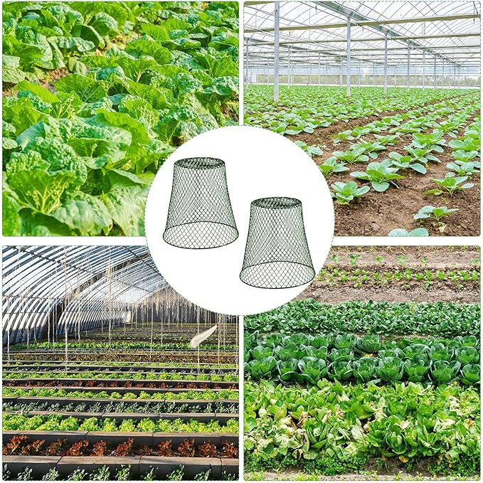 40 Pcs 9 inch Chicken Wire Plant Covers Bulk,Wire Garden Cloches Chicken Wire Cloche Plant Protector Metal Heavy Duty Garden Plant Cloche for Keeping Bunnies Chicken Squirrels Birds Other Out