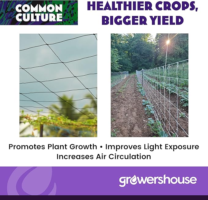 COMMON CULTURE Grow Strong Plant Trellis + Trojan Scissors - 6" Square Soft Mesh Nylon Trellis Netting Bulk Roll - Heavy-Duty Garden Netting for Plants - 5' x 350' - 1 Roll