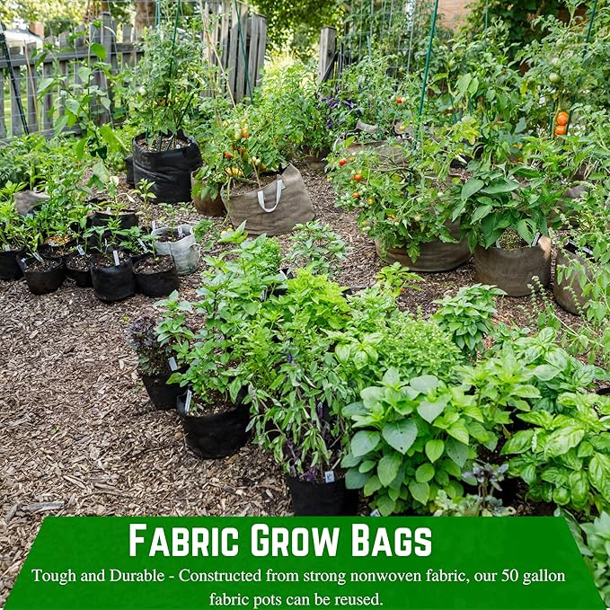 Farm Plastic Supply - 200 Gallon Fabric Grow Bags - (1 Pack) - Nonwoven Fabric Pots with Handles, Grow Bag, Plant Grow Bags, Garden Bag, for Farming, Gardening, Agriculture
