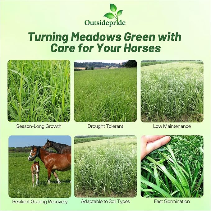 Outsidepride Horse Choice Pasture & Livestock Grass Seed Mix - 25 Lbs Perennial, Drought Tolerant, Cold Hardy, & High Yield Lawn Grass Seeds for Grazing, Hay, Silage, & Greenchop