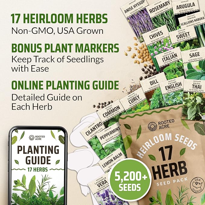 17 Herb Culinary Seed Vault – 5200+ Heirloom Seeds for Indoor/Outdoor or Hydroponic Gardens – High Germination | Cilantro, Mint, Chives, Basil, Parsley & More