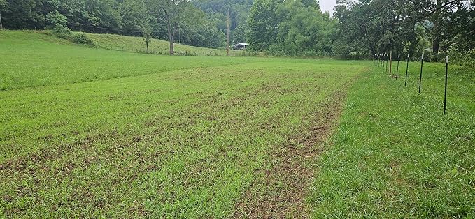 Dove and Quail Food Plot Seed Mix for Dove, Quail, Turkeys, Game Birds, 1/3 Acre or 1.5 Acres, Millet and Sorghum, Deer Browse Resistant, Drought Tolerant
