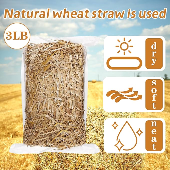 WNJ Natural Wheat Straw - 3 LB Dry Straw, Soft and Comfortable 100% Natural Straw Bale for Animal Bedding, Garden Mulch, Compost & Stray Cats Dogs Poultry, and Grass Cover