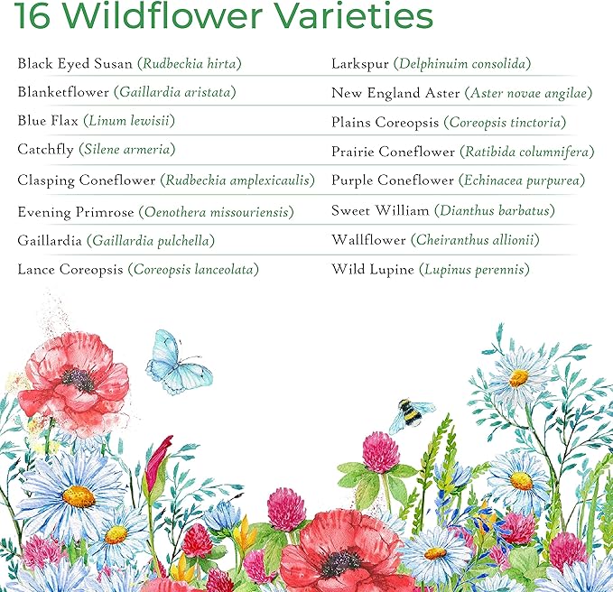 Created By Nature Wisconsin Wildflower Seed Mix, 16 Flower Varieties, 40,000 Seeds