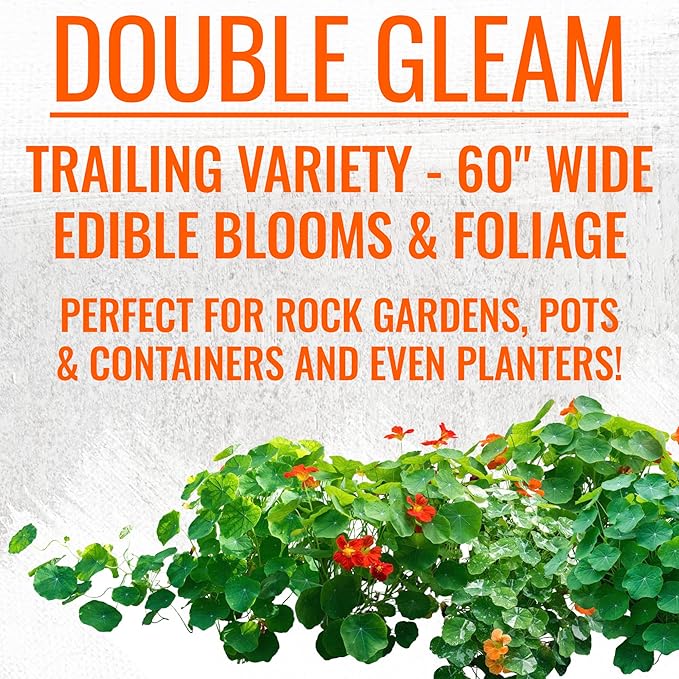 Seed Needs Nasturtium Seeds for Planting Edible Flowers | Bulk Collection Set of Jewel Blend & Double Gleam Nasturtiums | Colorful Blooms Attract Pollinators | Trailing and Bush Varieties