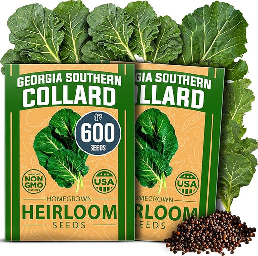 HOME GROWN Georgia Southern Collard Green Seeds – Bulk 2 Pack (600 High-Germination Non-GMO Heirloom Seeds) – for Planting in Vegetable Gardens (Brassica oleracea).