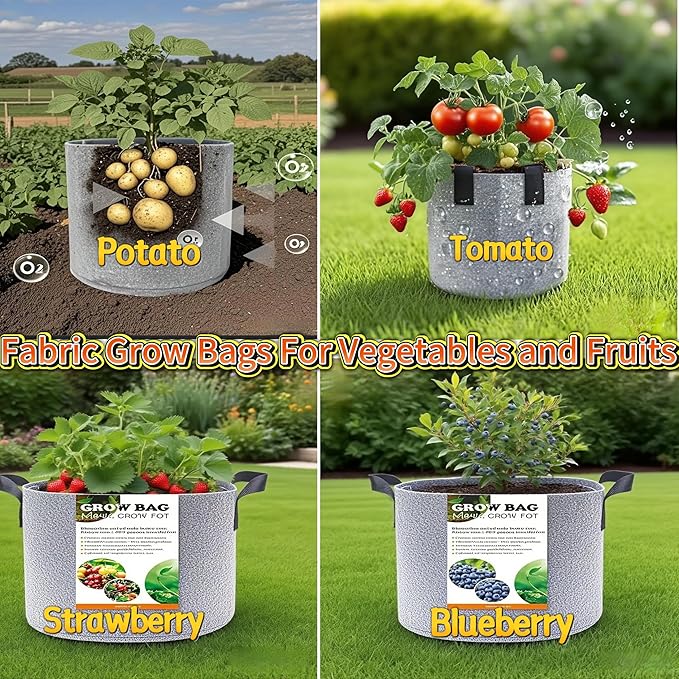 Grow Bags,Gallon Pot,Gallon Grow Bag,Fabric Plant Vegetable Pots with Handles,2-12 Nursery Pot Gallon Grow Bags with 1 Non-Slip Gardening Gloves,5pcs (2 Gallon)