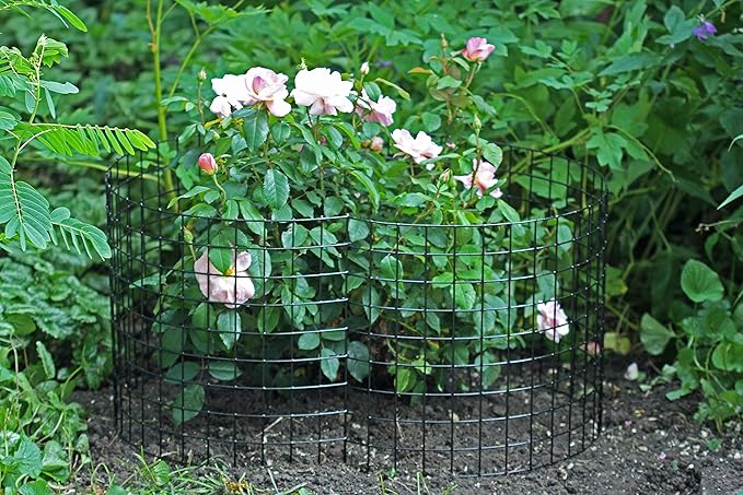 Erva Bunny Barricade Plant Protector Cage (3pk) - Plant Cages for Garden - Plant Protectors from Animals and Crop Cages for Garden - Made in The USA