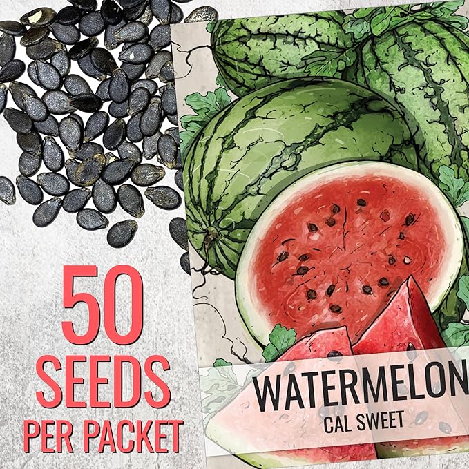 Seed Needs Watermelon Seeds for Planting Cal Sweet Watermelons - Non-GMO Heirloom & Untreated - Grow an Outdoor Home Grown Garden Filled with Sweet Fruits (1 Pack)