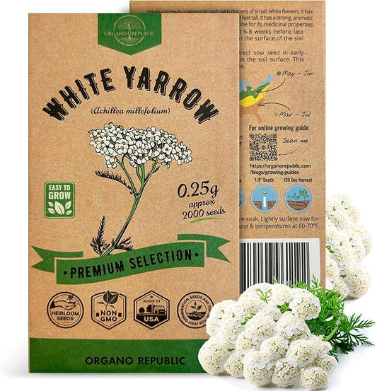 White Yarrow Seeds Pack 0.25 G - Over 2000 Non-GMO Heirloom Yarrow Seeds for Planting Herbs in Individual Seed Packet, Herbs Seeds for Planting Home Garden Indoor & Outdoor Gardening