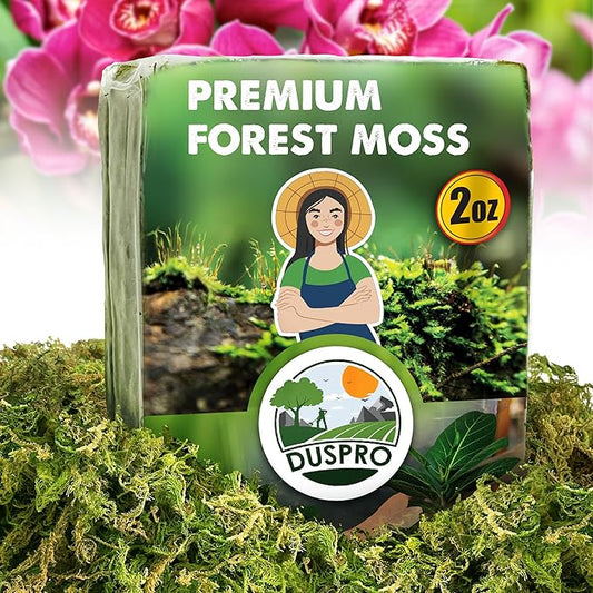 DUSPRO Dried Moss for Potted Plants, Forest Orchid Moss for Potting Mix, Sphagnum Potting Moss for Plants Indoor, Real Moss Soil Cover for Houseplant (2 OZ)
