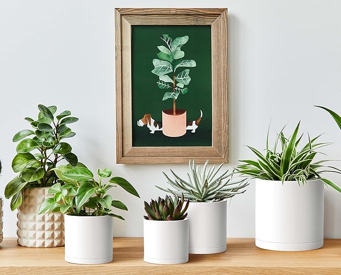 D'vine Dev Pack of 10 Plastic Plant Pots (2 Set of 6 Inch, 5.5 Inch, 5 Inch, 4.5 Inch, 4 Inch) Small Planter Pots for Plant with Drainage Holes and Saucers, White, 74-R-A