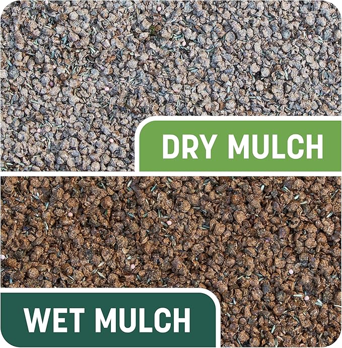 Pennington Smart Patch Sun and Shade Mix, 5-Pound Jug