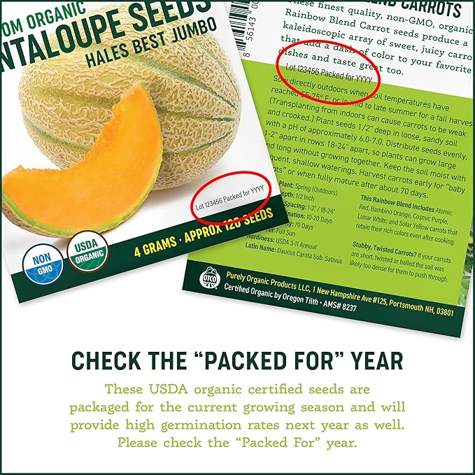 Organic Cantaloupe Seeds (Hales Best Jumbo) - Approx 80 Seeds - USDA Organic, Non-GMO, Open Pollinated, Heirloom, USA Origin (Pack of 2)