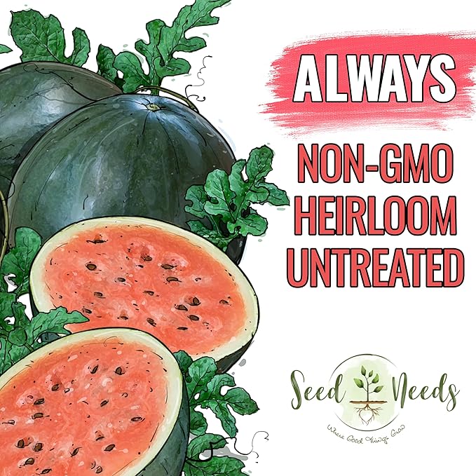 Seed Needs Watermelon Seeds for Planting Sugar Baby Watermelons - Non-GMO Heirloom & Untreated - Grow an Outdoor Home Grown Garden Filled with Sweet Fruits (1 Pack)
