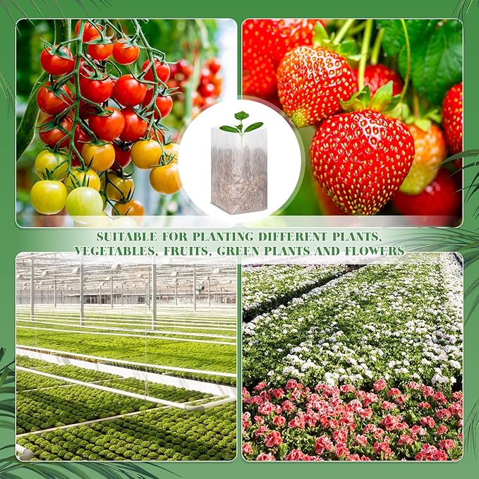 1000 Pcs Nursery Seed Non Woven Plants Nursery Bags 5.9 x 6.3 Inch Fabric Seedling Pots Grow Bags Plants Pouch for Vegetables Flower for Home Garden Greenhouse Supplies