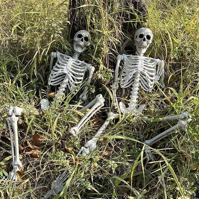 Wocst 5.4Ft/165cm Halloween Skeleton Full Body Life Size Human Bones with Movable Joints for Indoor Outdoor Halloween Props Decorations