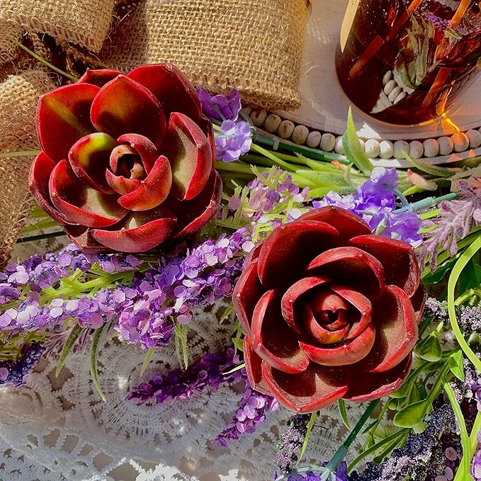 Succulent Plants Live Echeveria Red Lantern – Bright Red Rare Succulent, Easy Care Live Plant for Indoor Outdoor Home & Garden Decor