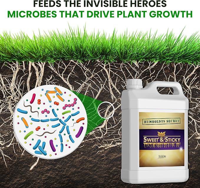 Humboldts Secret Sweet & Sticky Carbohydrate and Saccharide Plant Energy Additive | Indoor and Outdoor Plant Nutrients Enhancer for Growth and Aroma | Boosts Flavor and Resin Development | 32 Ounce