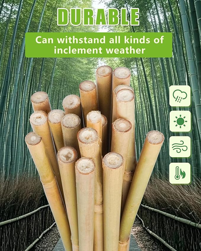 4ft Natural Bamboo Plant Stakes for Tomatoes, Beans, Flowers, Potted, Climbing Plants 25pcs
