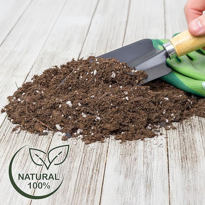 Money Tree Soil (4 Quarts), Potting Mix for Planting/Repotting Pachira Aquatica, All-Natural Custom Soil Blend