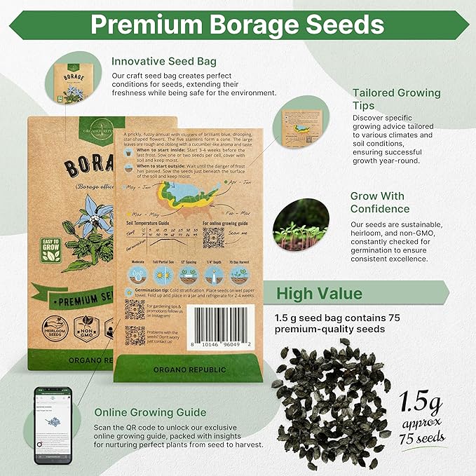 Borage Seeds Pack 1.50 G - Over 75 Non-GMO Heirloom Borage Seeds for Planting Herbs in Individual Seed Packet, Herbs Seeds for Planting Home Garden Indoor & Outdoor Gardening