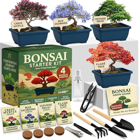 HOME GROWN Bonsai Tree Starter Kit – Unique Christmas Gift for Adults, Men & Women - Grow 4 Indoor Bonsai Trees from Seeds – Beginner DIY Crafts & Hobby Kit Gardening Gift for Plant Lovers, Mom & Dad