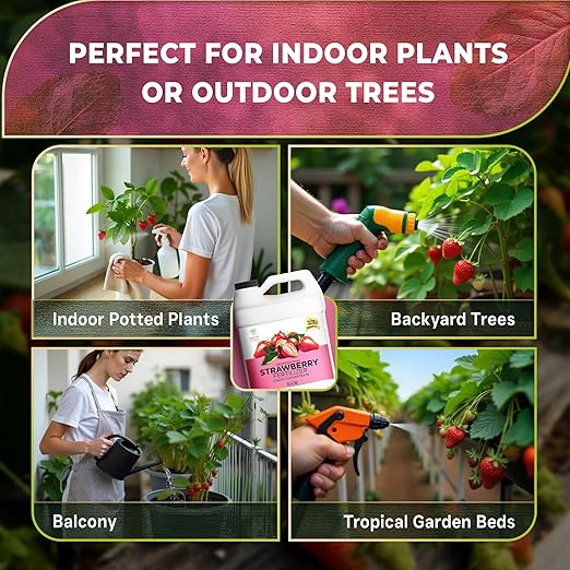 Leaves and Soul Professional Strawberry Fertilizer Liquid Concentrate - 6-4-6 Blend Liquid Garden Fertilizer for Strawberries - Plant Food for Strawberry Bushes and Plants - 32oz