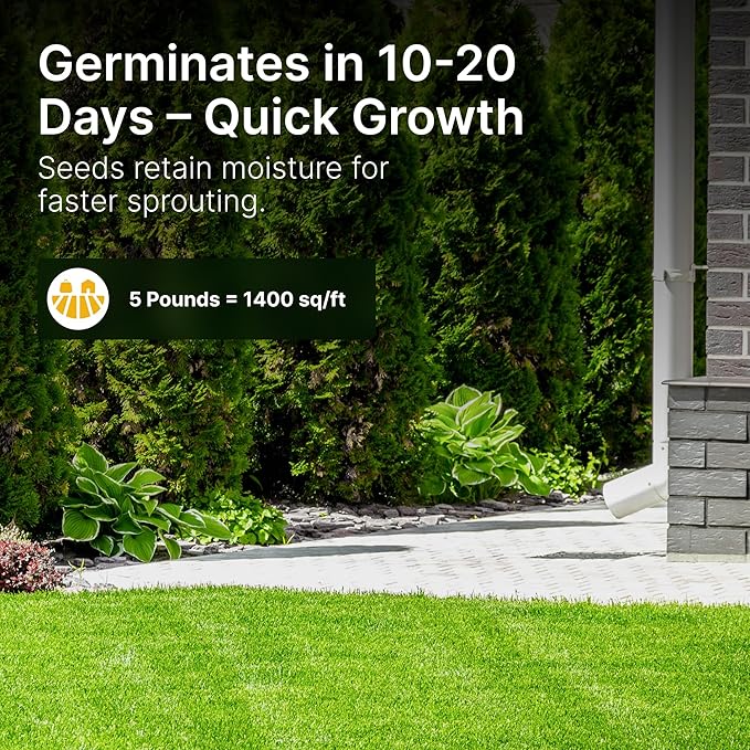 Kentucky 31 K31 Tall Fescue Grass Seed, 5 lbs - Drought Tolerant, Hardy & Abuse Tolerant, Excellent Forage, Pure Seed, Genuine KY31 Seeds, Weed Free, Hunting, Attractive to Deer and Elk