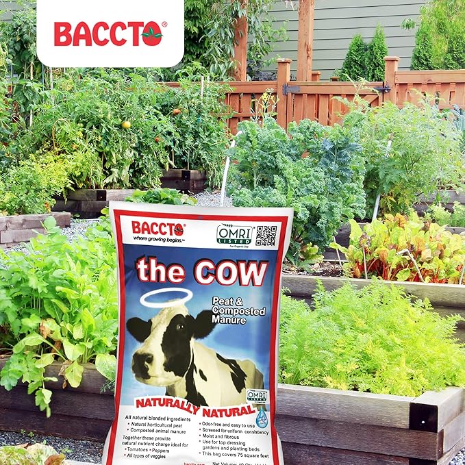Michigan Peat Baccto Wholly Cow Horticultural Compost and Manure for Soil Amendment, Lawn Care, Vegetable Garden Beds, and More, 40 Quart Bag