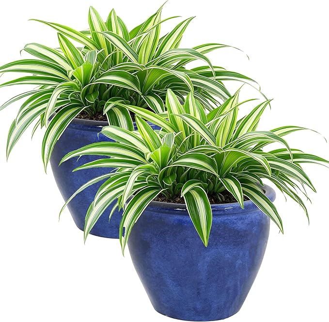 Sunnydaze Round Ceramic Planter - Set of 2 Indoor or Outdoor Plant Pots with Drainage Hole - Chalet - 12" - Imperial Blue Glaze