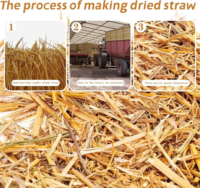 WNJ Natural Wheat Straw - 3 LB Dry Straw, Soft and Comfortable 100% Natural Straw Bale for Animal Bedding, Garden Mulch, Compost & Stray Cats Dogs Poultry, and Grass Cover