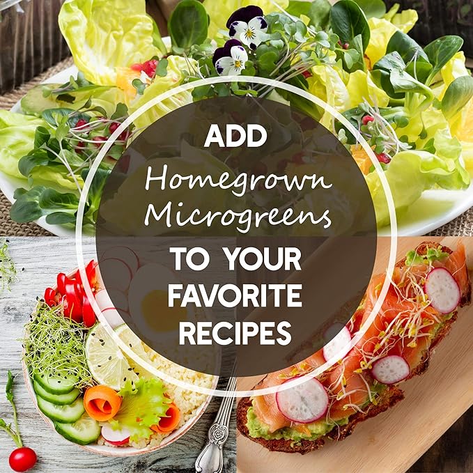 Bulk Salad Mix Microgreens Seeds – 1 LB – Non-GMO Blend of Broccoli, Kale, Kohlrabi, Cabbage & Arugula – High-Germination for Indoor Micro Greens, Hydroponic Growing & Home Gardening