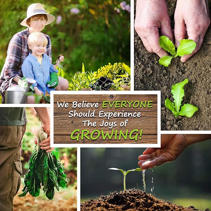 Korean Perilla Seeds – Heirloom, Non-GMO – Easy-to-Grow Culinary Herb for Asian Dishes, Wraps & Garnishes – Ideal for Home Gardens & Containers – Annual Herb with Fragrant Leaves