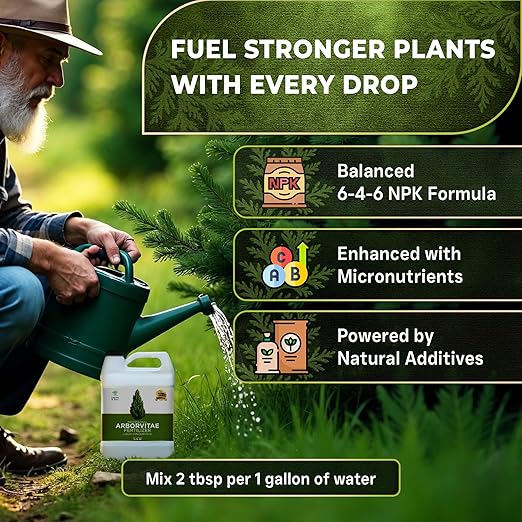 Leaves and Soul Professional Arbor Vitae Tree Fertilizer Liquid Concentrate - 6-4-6 Blend for Arbor Vitae, Garden Use - Liquid Plant Food for Arbor Vitae Trees and Shrubs Outdoors - 32oz