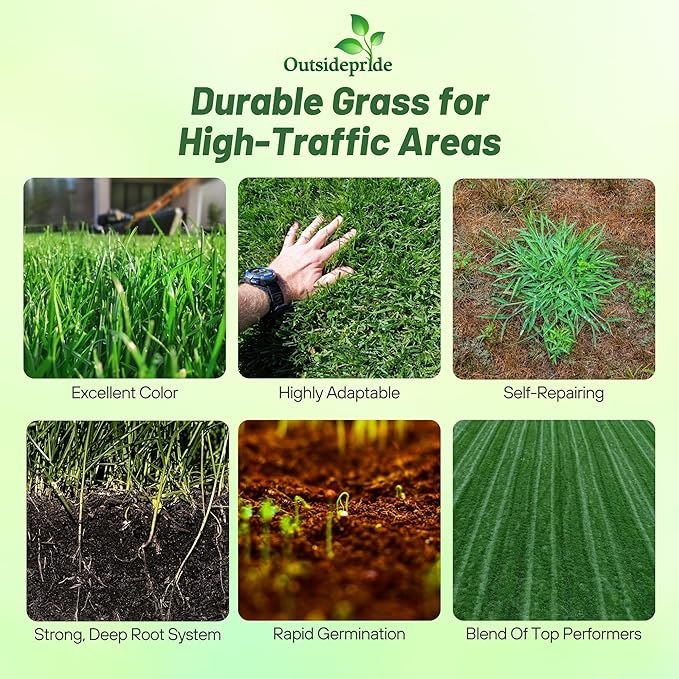 Outsidepride Combat Extreme Transition Zone Grass Seed Blend for Lawn 10 lbs - Fine, Medium Leaf Blades & Dense Turf for Sun, Shady & High Traffic Areas w/OptiGrowth Coating for Seed Enhancement