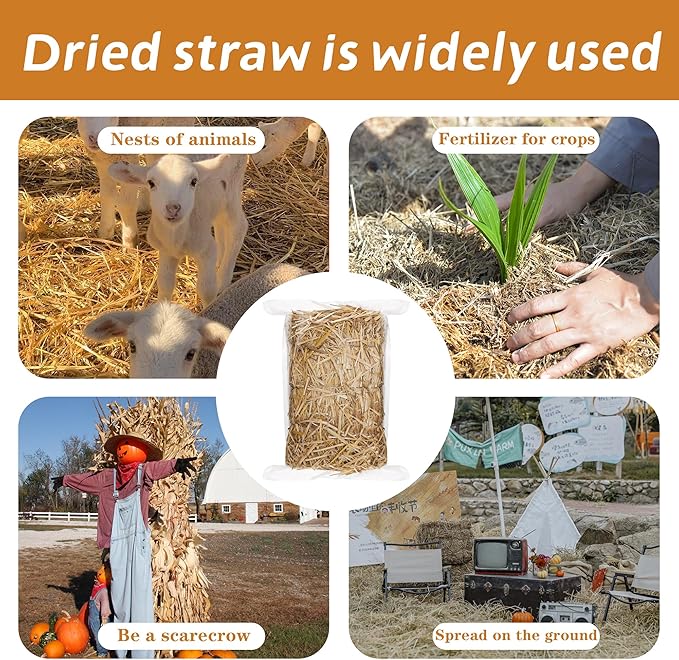 WNJ Natural Wheat Straw - 3 LB Dry Straw, Soft and Comfortable 100% Natural Straw Bale for Animal Bedding, Garden Mulch, Compost & Stray Cats Dogs Poultry, and Grass Cover