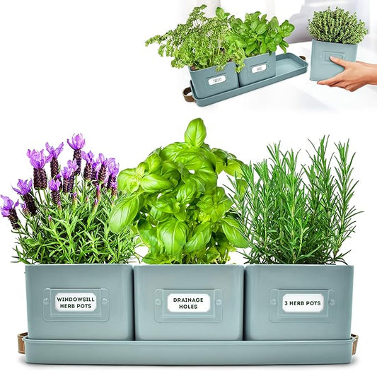 volila Herb Planter Indoor - Set of 3 Teal Blue Indoor Herb Garden Pots for Plants with Leather Handled Tray - Window Sill Plant Shelf - Herb Pots with Drainage Holes and Labels