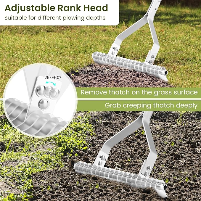 70" Thatch Rake, Lawn Thatching Rake with 20" Wide Adjustable Head, Double Sided Design, 19 Curved Tines & Non-slip Handle, Garden Landscaping Tool Lawn Dethatcher for Yard, Garden & Beach