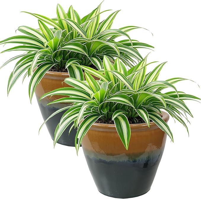 Sunnydaze Round Ceramic Planter - Set of 2 Indoor or Outdoor Plant Pots with Drainage Hole - Chalet - 12" - Forest Lake Green Glaze