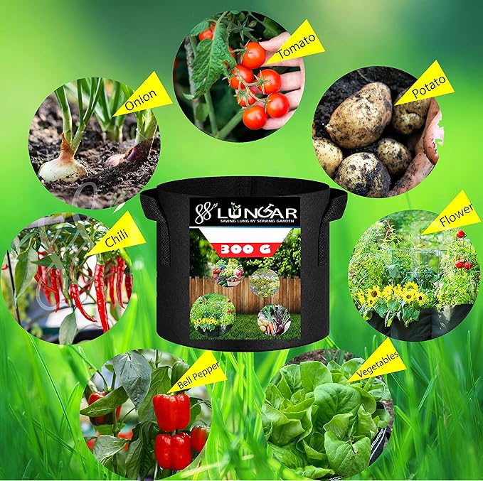 Plant Grow Bags - 10 Gallon 10 Packs Planter Pot, Thickest Aeration 300G Non-Woven Fabric, Reinforced Handles for Weatherproof Nursery Pot, Enhanced Double Seam